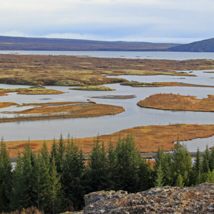 Unique Wilderness Coming soon